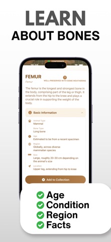 Bone Identifier: AI Scanner screenshot