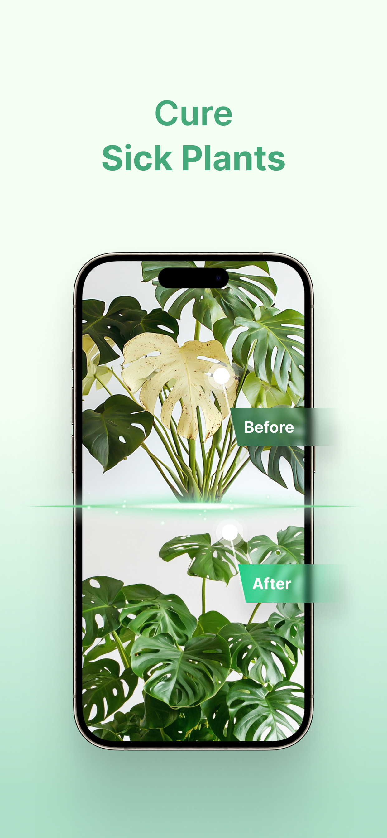 Plant Identifier - AI Diagnose screenshot 4