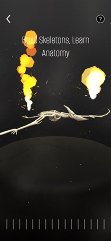 Skeleton Puzzle: Learn Anatomy Screenshot 6 of 7