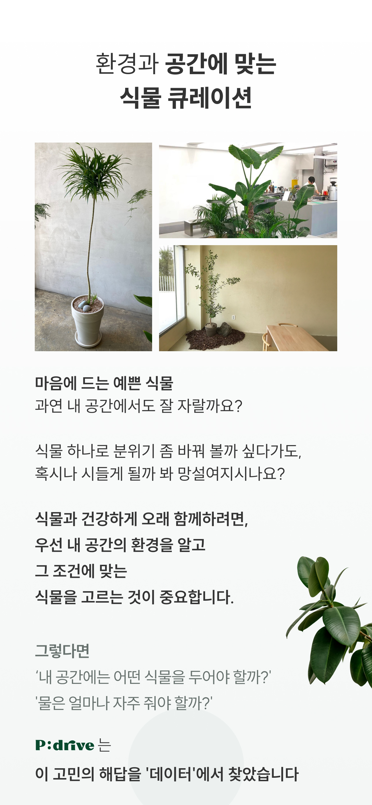 피드라이브 - 공간 맞춤 식물 추천/관리 앱 screenshot 2