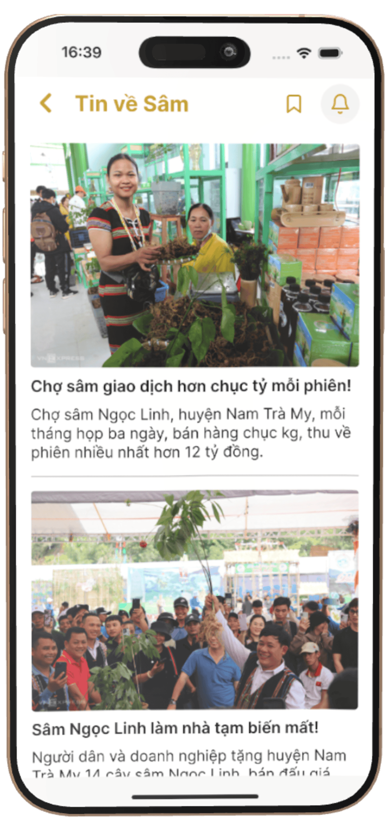 TXNG Sâm Ngọc Linh