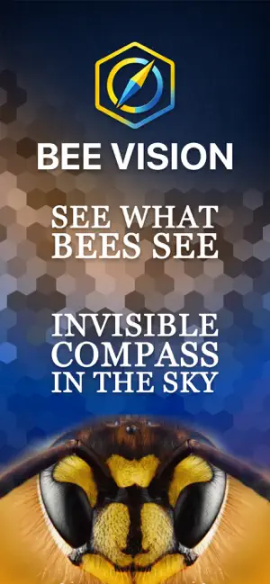 Bee Vision screenshot 1