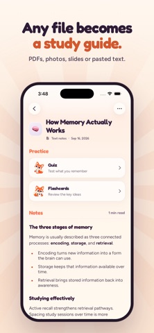Revisio - Flashcards & Notes Screenshot 3 of 4