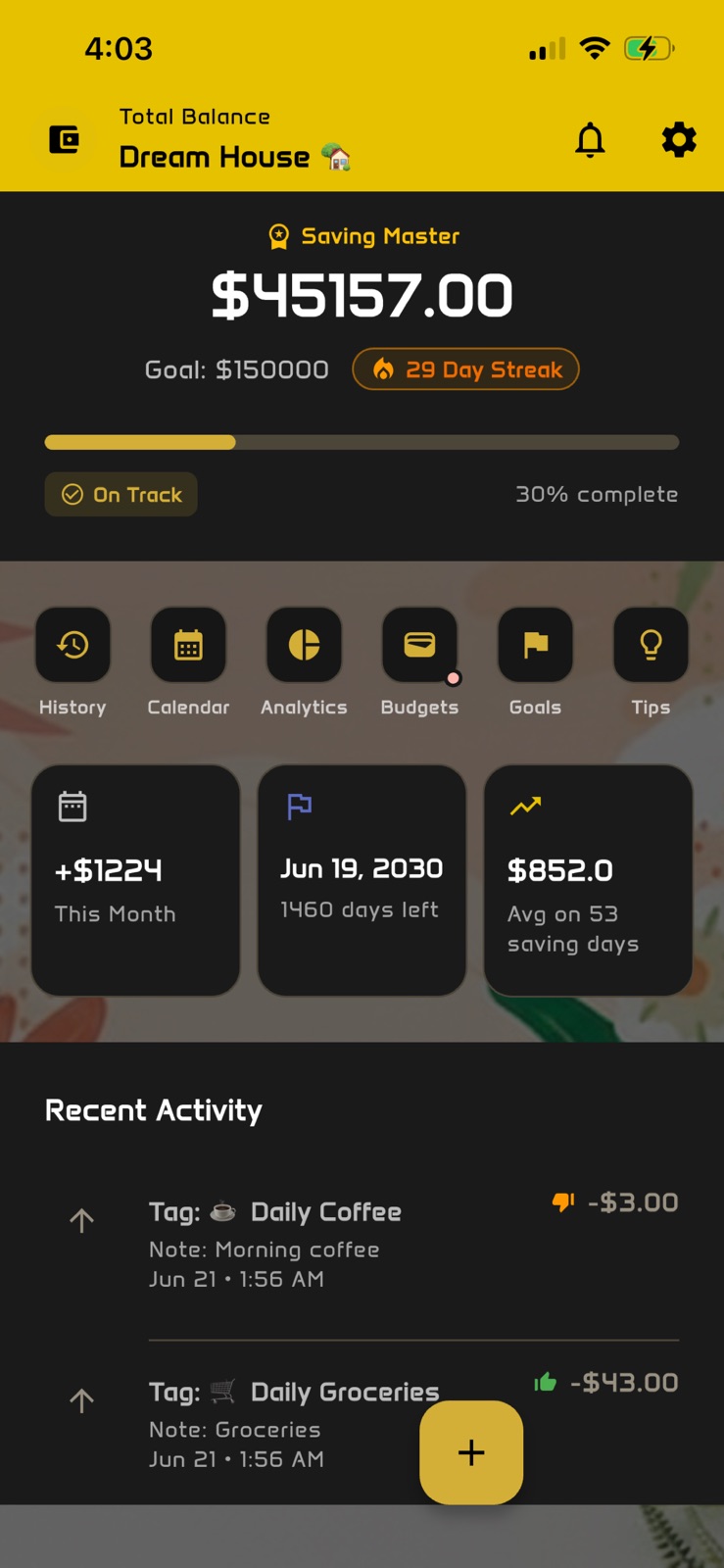 DashSave - Saving Goal Tracker iphone screenshot 1