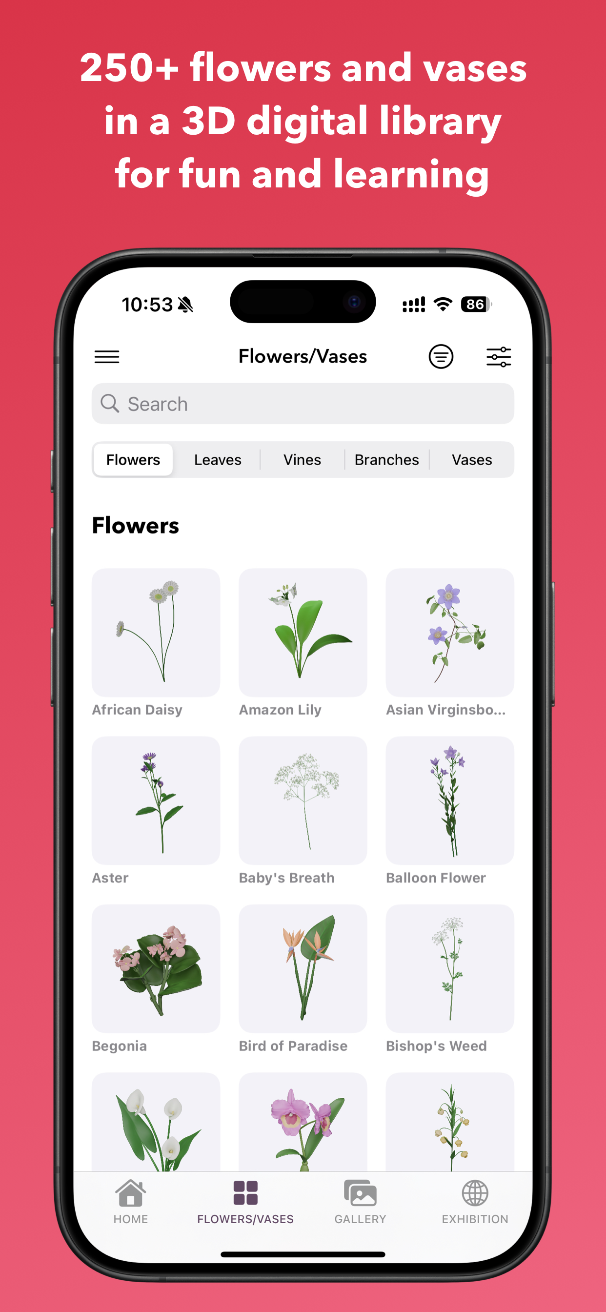 Ikebana Lab – 3D AR Flower Art