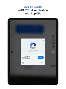 reCAPTCHA screenshot 5