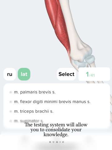 Humio: 3D Human Anatomy iPad screenshot