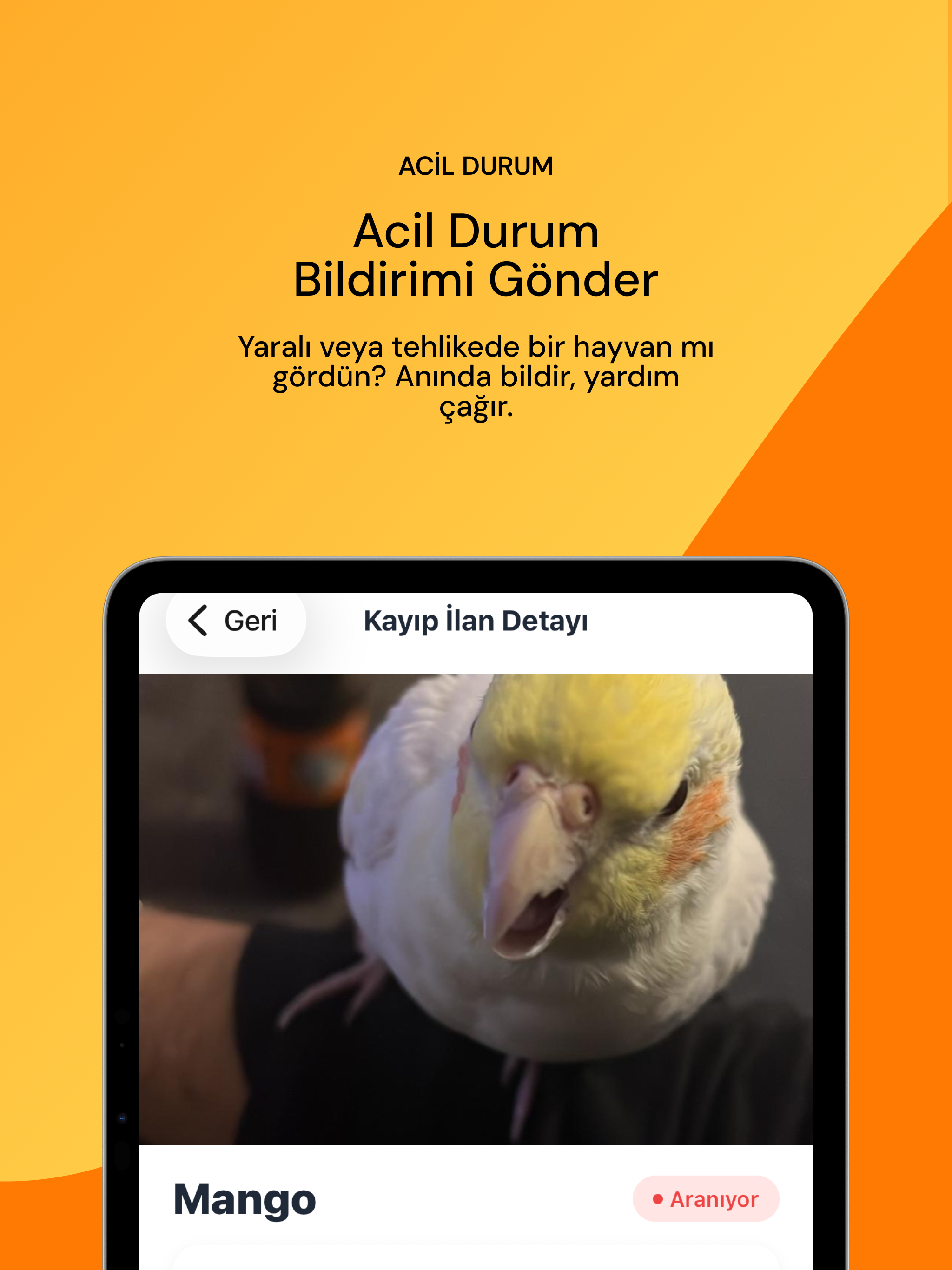 CatPet: Hayvansever Topluluğu