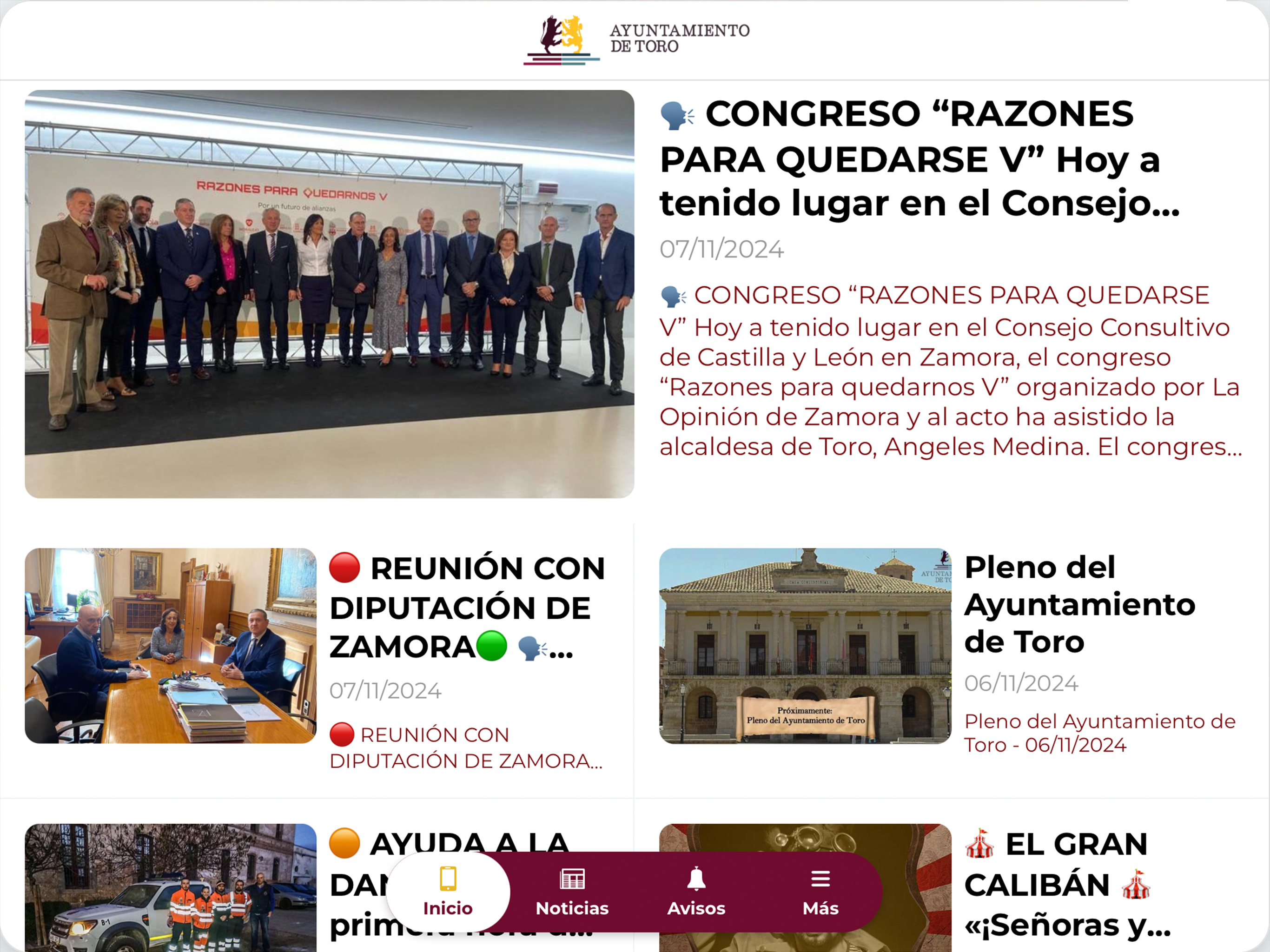 Ayto.Toro