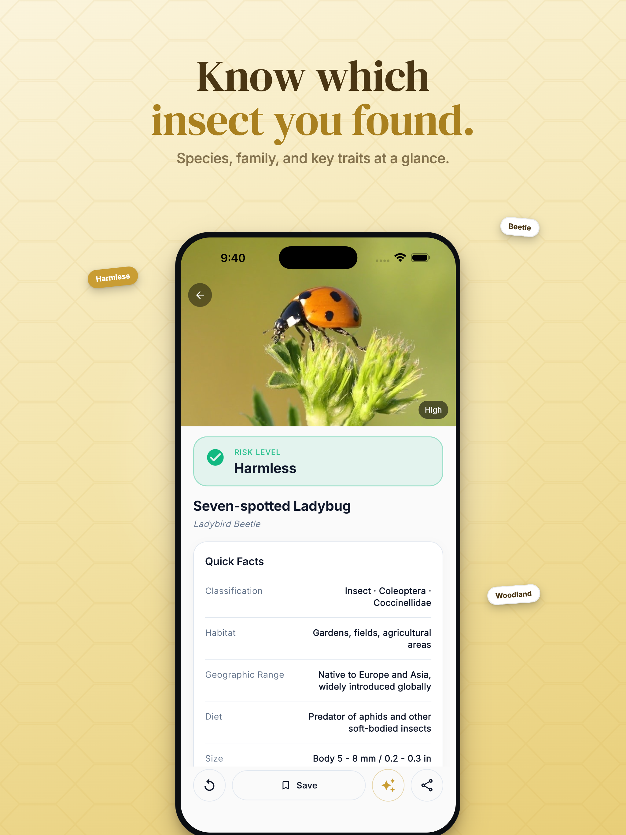 Insect Identifier & Bug ID