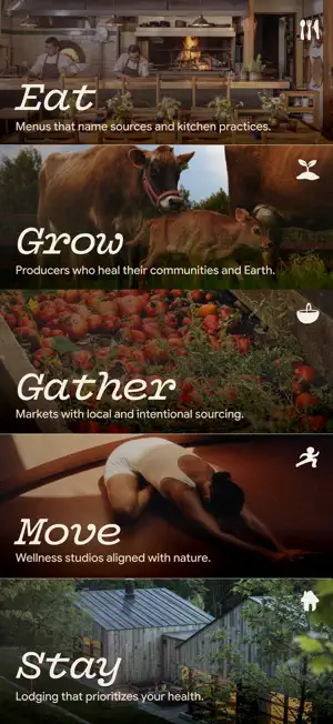 Field: Align with nature screenshot 1