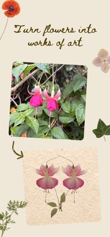 Pressed Petals Screenshot 1 of 3