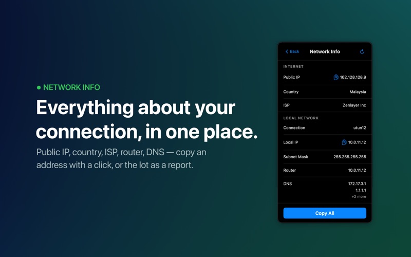 NetCheck screenshot 3