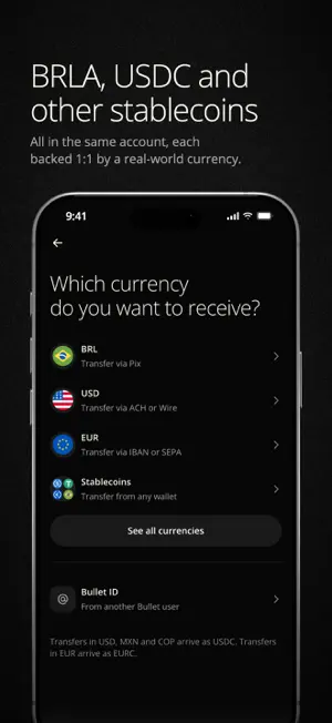 Bullet Cash: Borderless Money screenshot 4