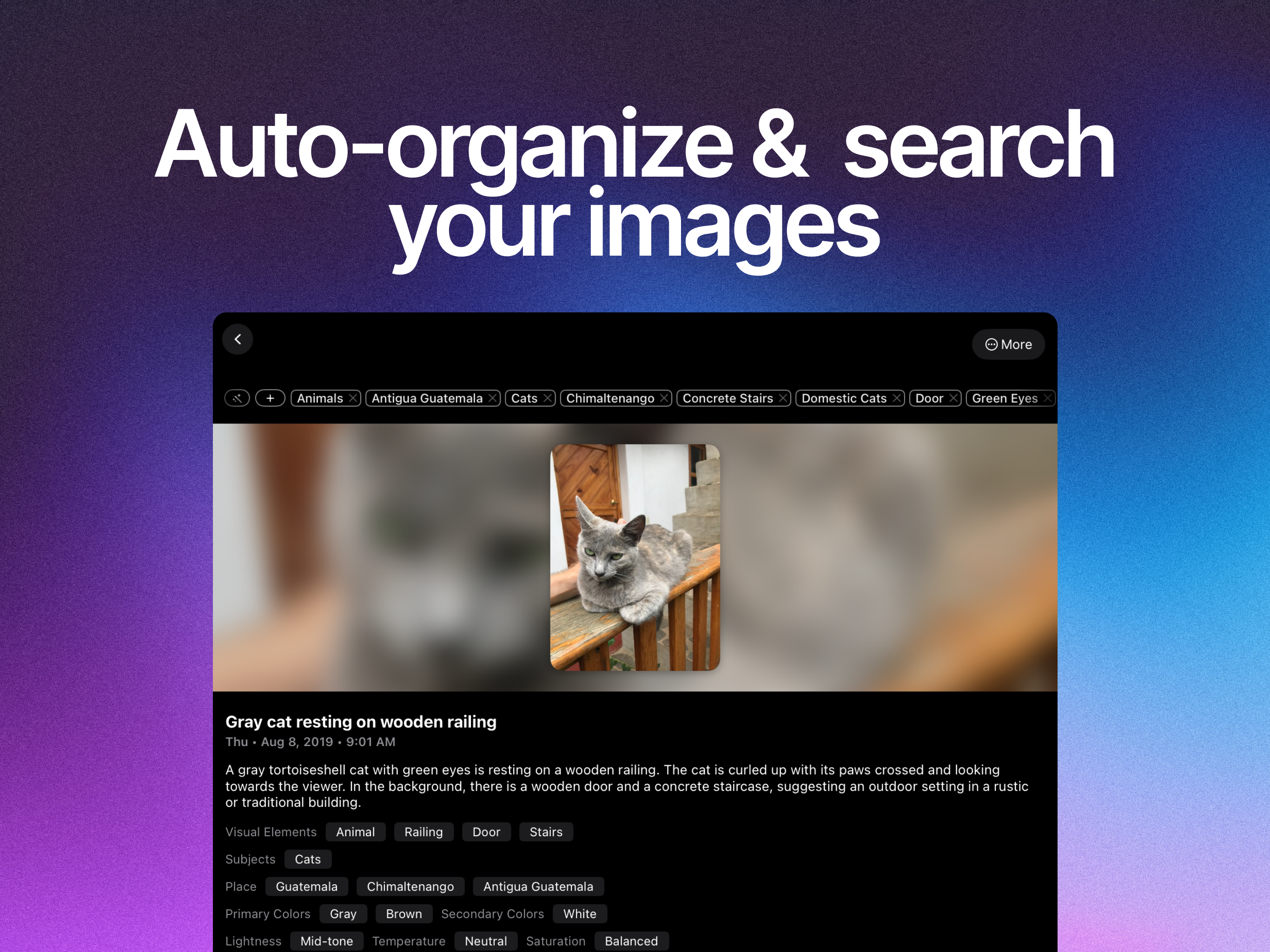 Mindless: Tasks & Bookmarks screenshot 16