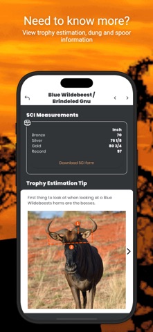 International Hunters iPhone screenshot