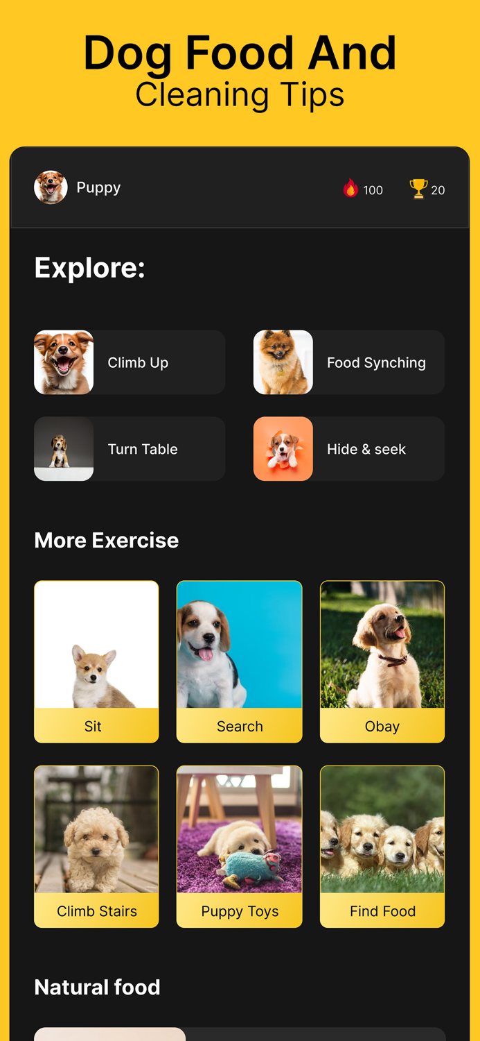 Dog Training  Pet Care Tricks