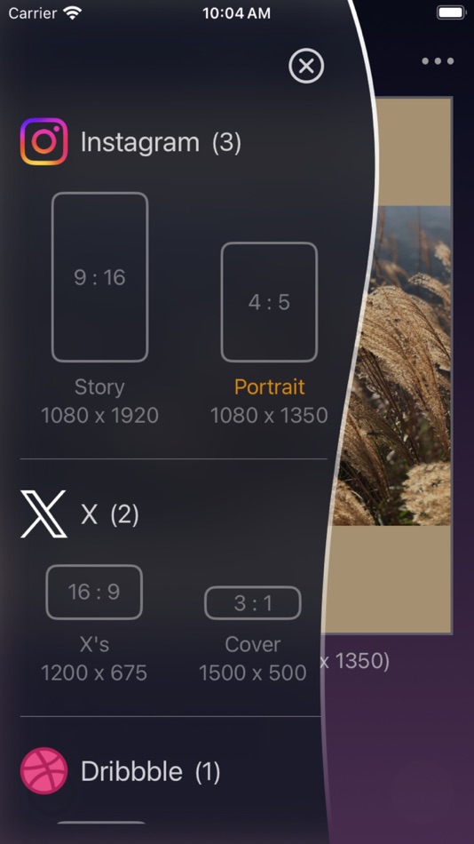 #1. SizeFit : Easy Resize Photo (iOS) โดย: sekleung chang