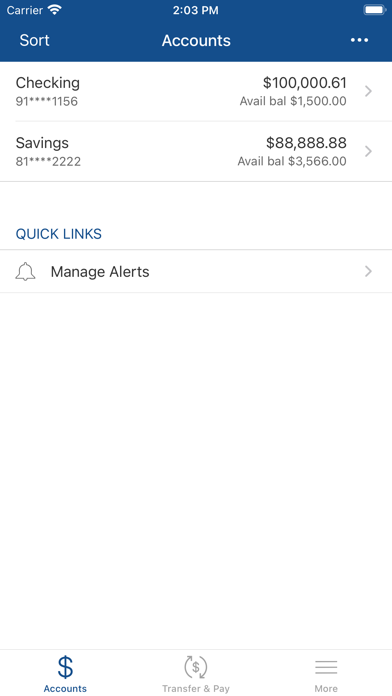 Gates Chili FCU Screenshot