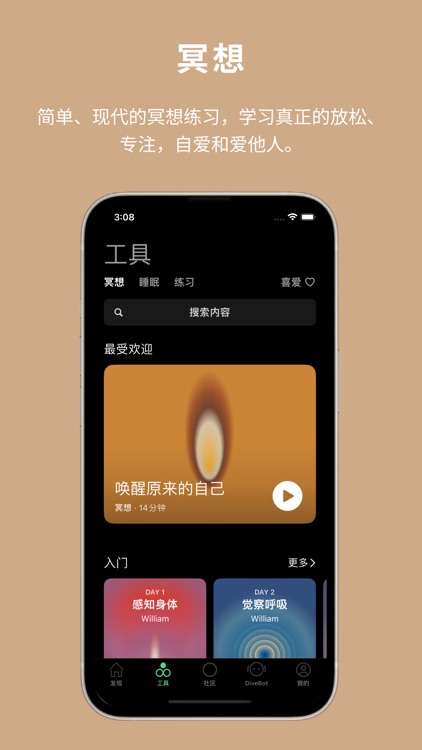 Dive Health: AI日记 & 冥想