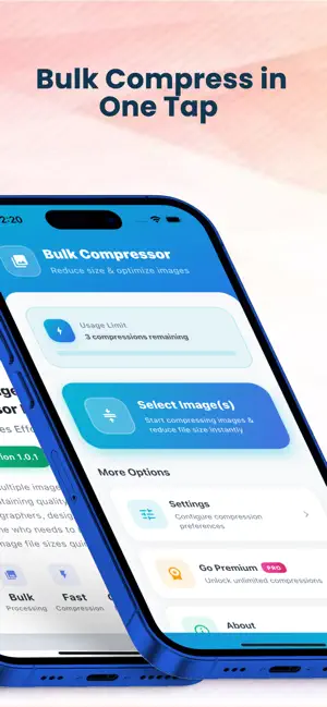 Image Compressor : Bulk screenshot 2
