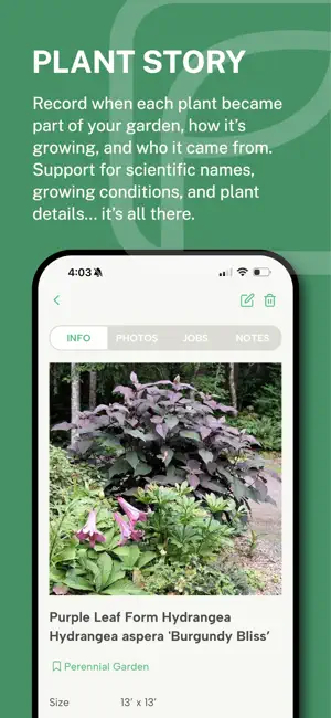Plantifon screenshot 2