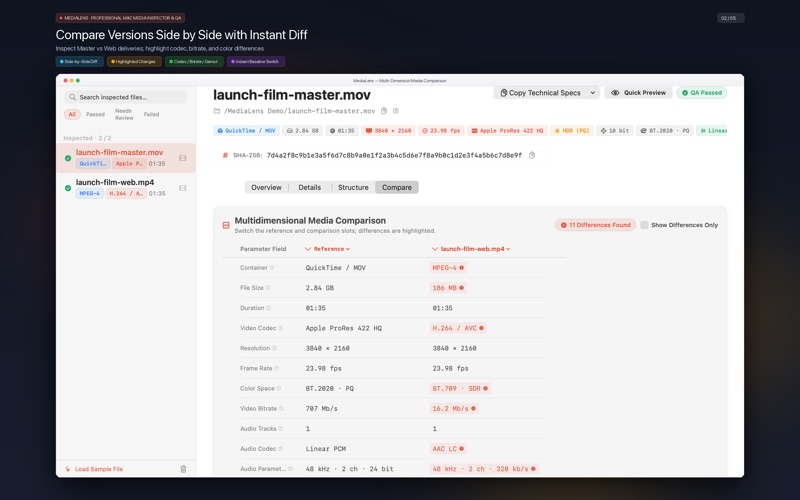 MediaLens Video Inspector & QA screenshot 2