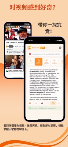 SenseIT: AI视频总结与翻译 screenshot