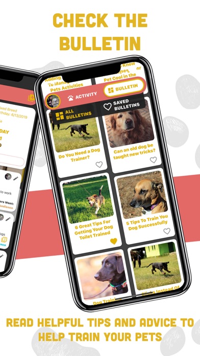 Doggy Door Screenshot