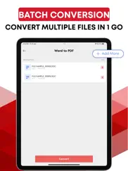 convert pdf to word. ipad images 4