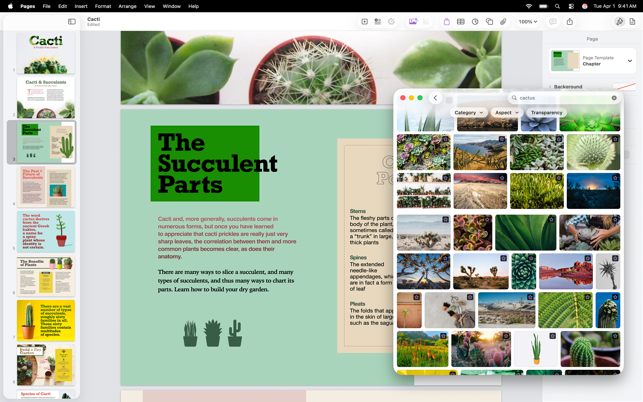 Pages: Erstelle Dokumente Screenshot