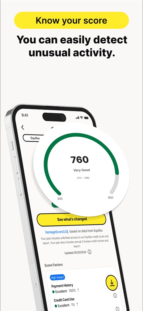 LifeLock Identity - Understand financial health with the prominent 'VantageScore 3.0' display and key 'Score Factors' like payment history and credit card usage.