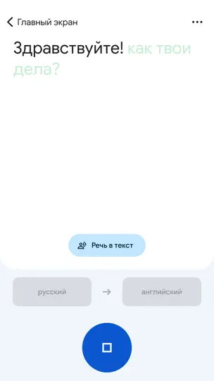 Скриншот Google Переводчик на iPhone 2