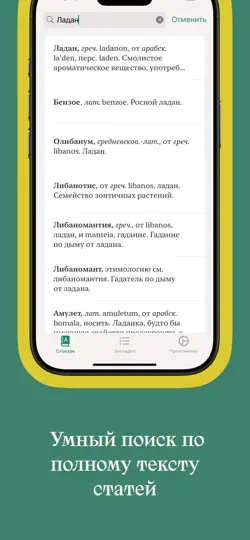 Скриншот Словарь Михельсона на iPhone 3