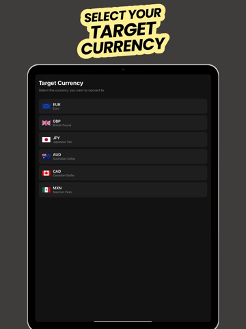 Offline Peso Dollar Converter iPad screenshot