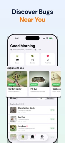 Bug Identifier: Spider & Pest Screenshot 5 of 6