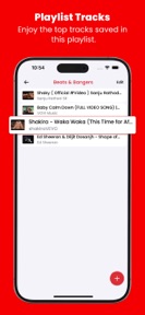 VidTube - PIP Video Player screenshot