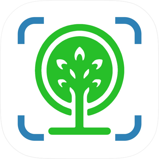 Forest Tree Identifier