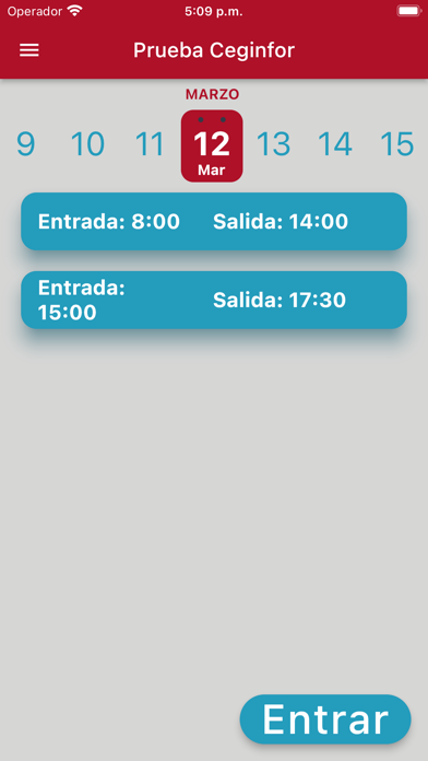 Screenshot #1 pour Control Horas Ceginfor