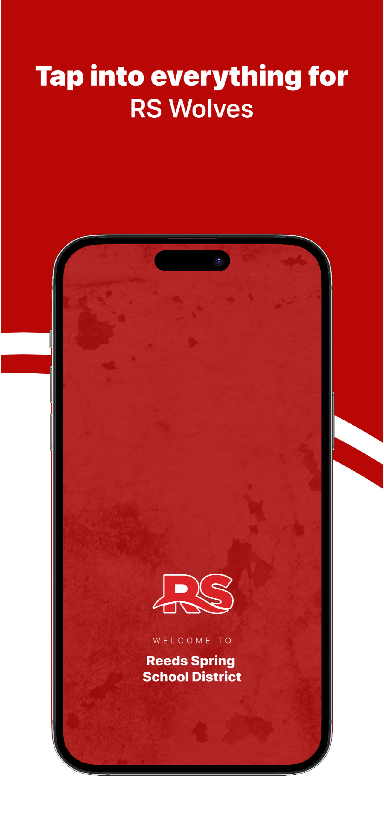 Reeds Spring Schools