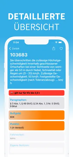 Screenshot von Tatbestandskatalog auf dem iPhone 3