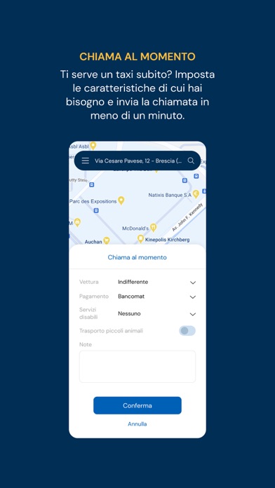TaxiMilano Screenshot