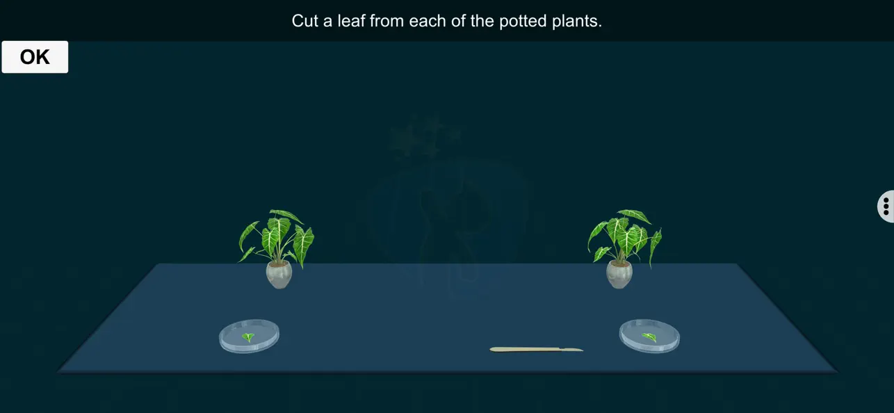 Screenshot #3 pour Leaf Starch Test - EduTech Era