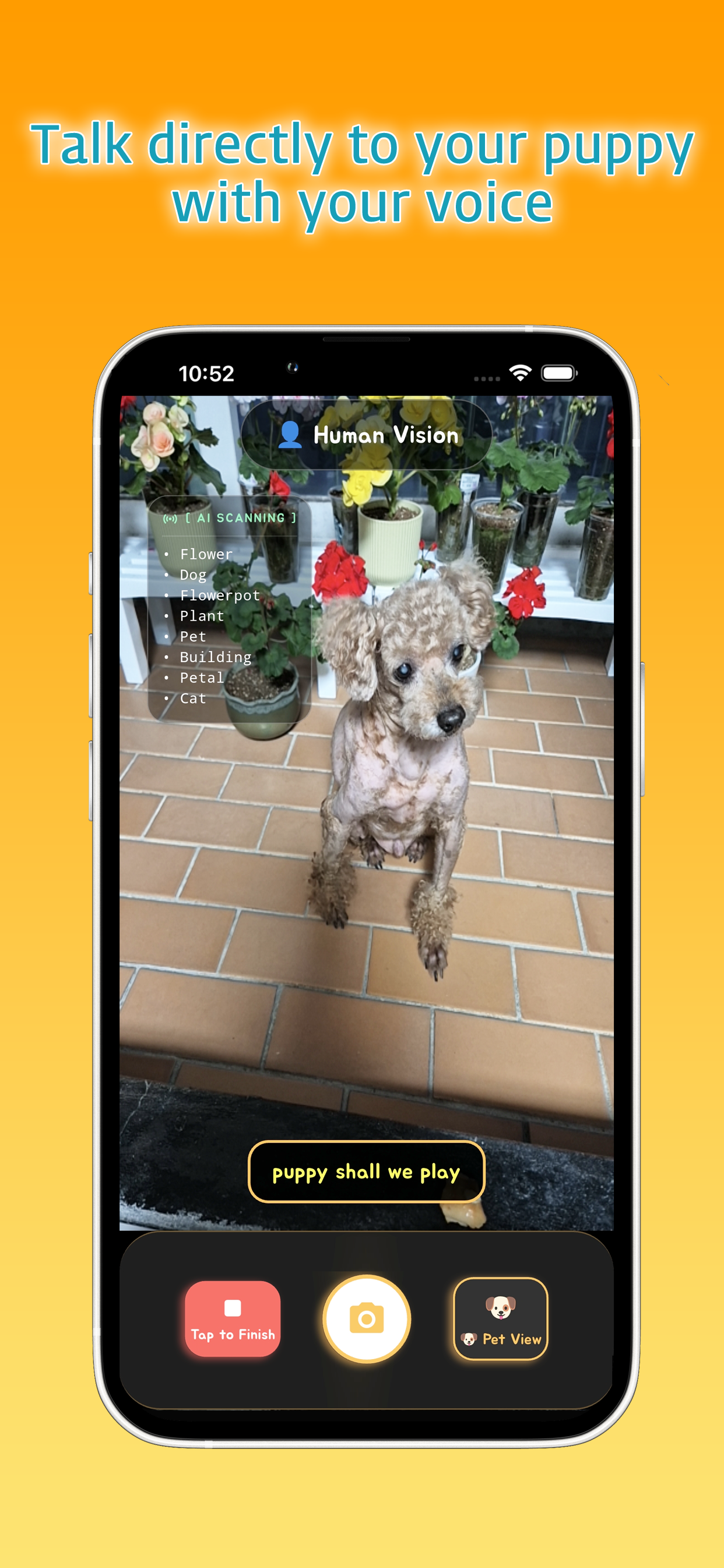 Tangu: AI Dog & Cat Analyzer screenshot 5