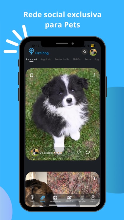 Pet Ping screenshot-3