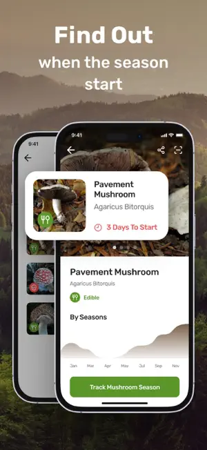 Mushroom Picture Identifier screenshot 4