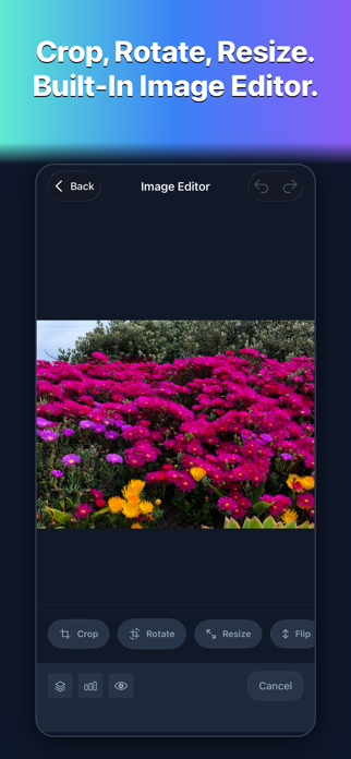 Filemorph: Convert & Edit Screenshot 6 of 7