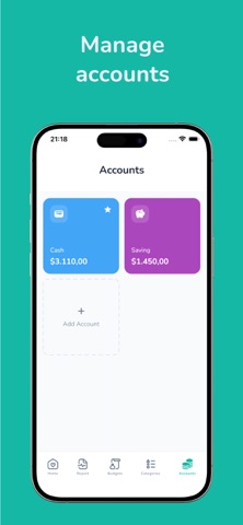 BudgetWay screenshot