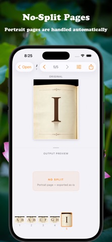 SpreadSplit for IOS screenshot