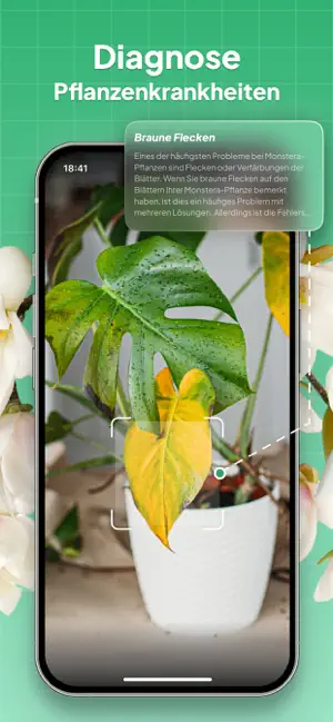 Pflanzen Bestimmen: LeafSnap iPhone screenshot 3